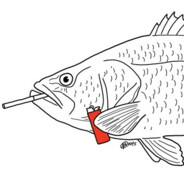 Boldar Test Render 1