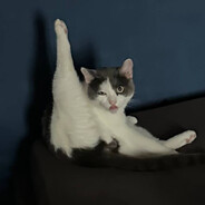 Отец avatar