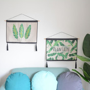 轻抚菊花而不入