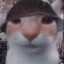 Ravik