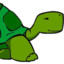 |FW|Turtle