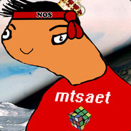 MtSaEt