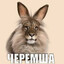 черемша черемшов