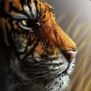 ..::S3B3K::..morze zagram