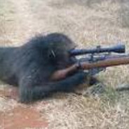 Sniper Monkey