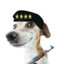 GeneralKopinski