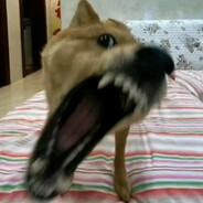 一名背着铲子的年轻人