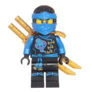 Blue Ninja