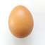 An Actual Egg