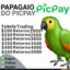 PAPAGAIO DO PICPAY