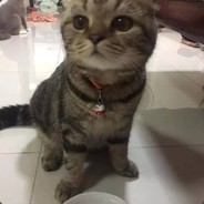 发牌员求求你做个人吧!!