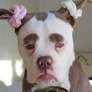 不会玩别吵了和谐友爱