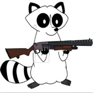 avatar innocent raccoon ISR
