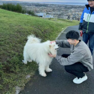 ло 29 апреля