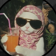 Pussenjoyer Steam avatar