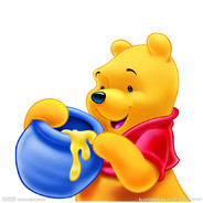 Winnie Bear