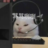 午饭今天吃什么