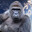 Harambe
