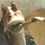 Jarjar