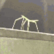 B̶̗̕U̴͓̓G̸̹̚