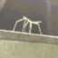 BUG