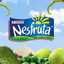 Nesfruta