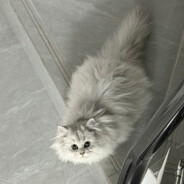 买二手车上转转