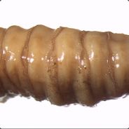 Maggot - steam id 76561197965806166