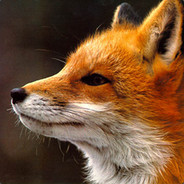 ραvεℓ＊sριη