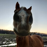 Ninjapatton's avatar