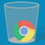 Google Chrome™