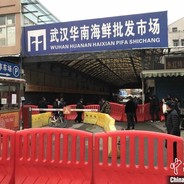 習近平在練習昇龍拳