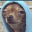 Hugonoob