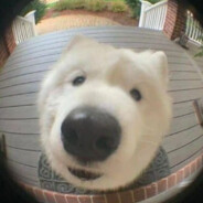 K4 Steam avatar