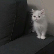 姐夫开门我是我姐