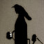 DarcMaster