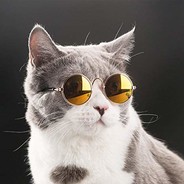 Cool cat~