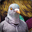 ExplosivePigeon's avatar