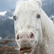 GeilerSchiml avatar