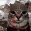 War Cat