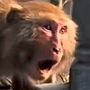 青青草原狙击手