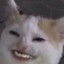 小p盐子