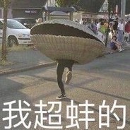 我的鸡八岁了我爱它它爱我