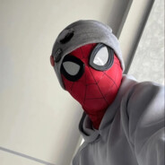 翻斗花园蜘蛛侠玩双飞