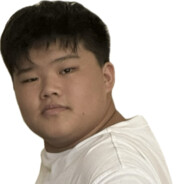 等她不及等樱花