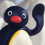 ★Pingu★