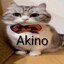 Akino 🕷
