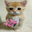 LF E-girl i feel lonely