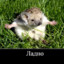 Ладно