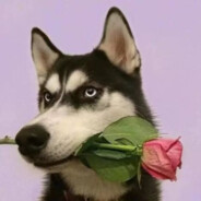 大头大头下雨不愁